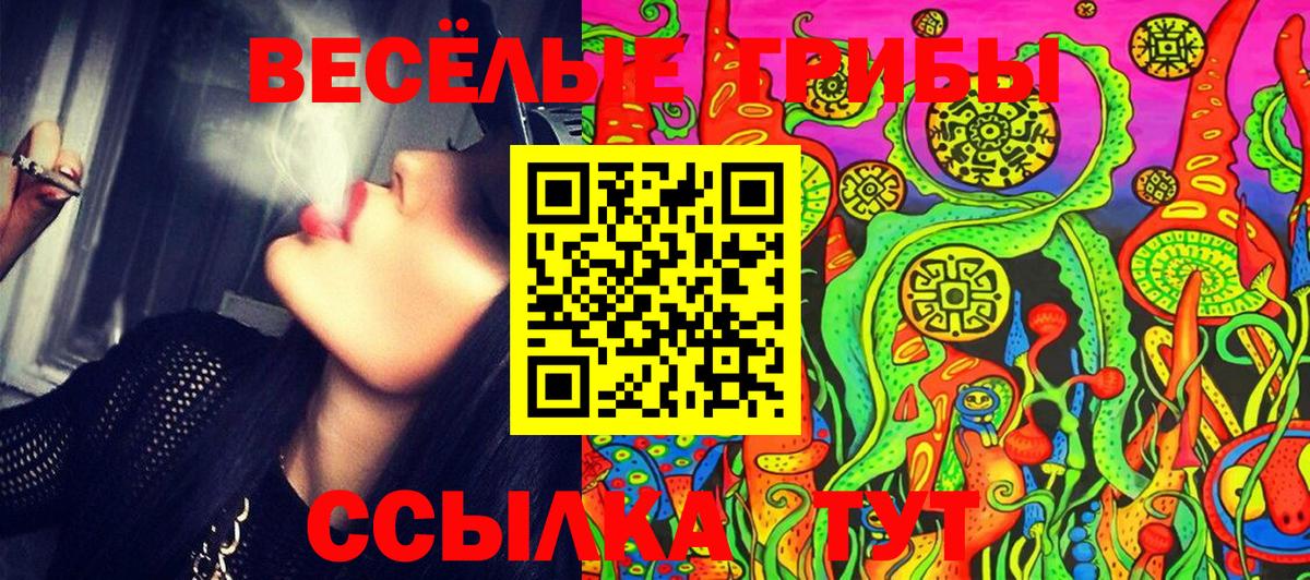 Псилоцибиновые грибы Cubensis Кувандык