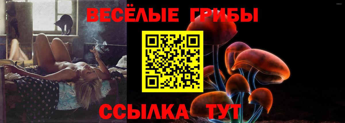наркотики  Псилоцибиновые грибы Psilocybine cubensis  Псилоцибиновые грибы мухоморы  Вход с VPN  Кувандык 